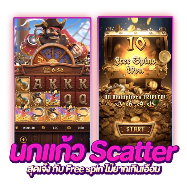 Scratter นกแก้ว