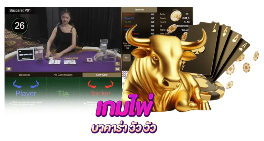 บาคาร่า วัว วัว