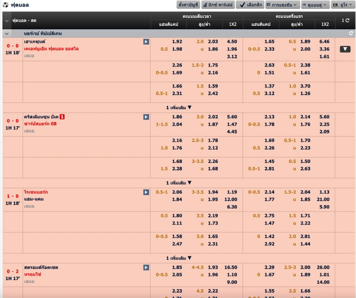 ค่าน้ำยูโร