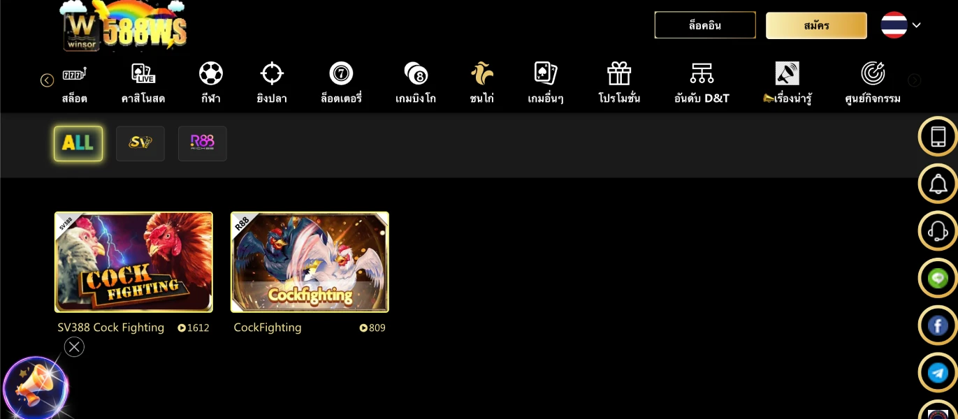 ไก่ชนคนไทยชอบ